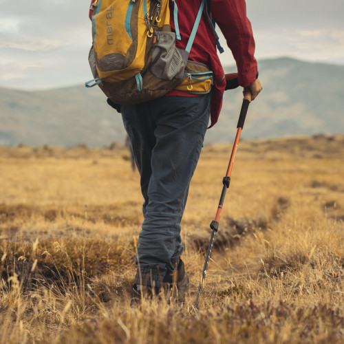 Hiking With Trekking Poles - Pros and Cons